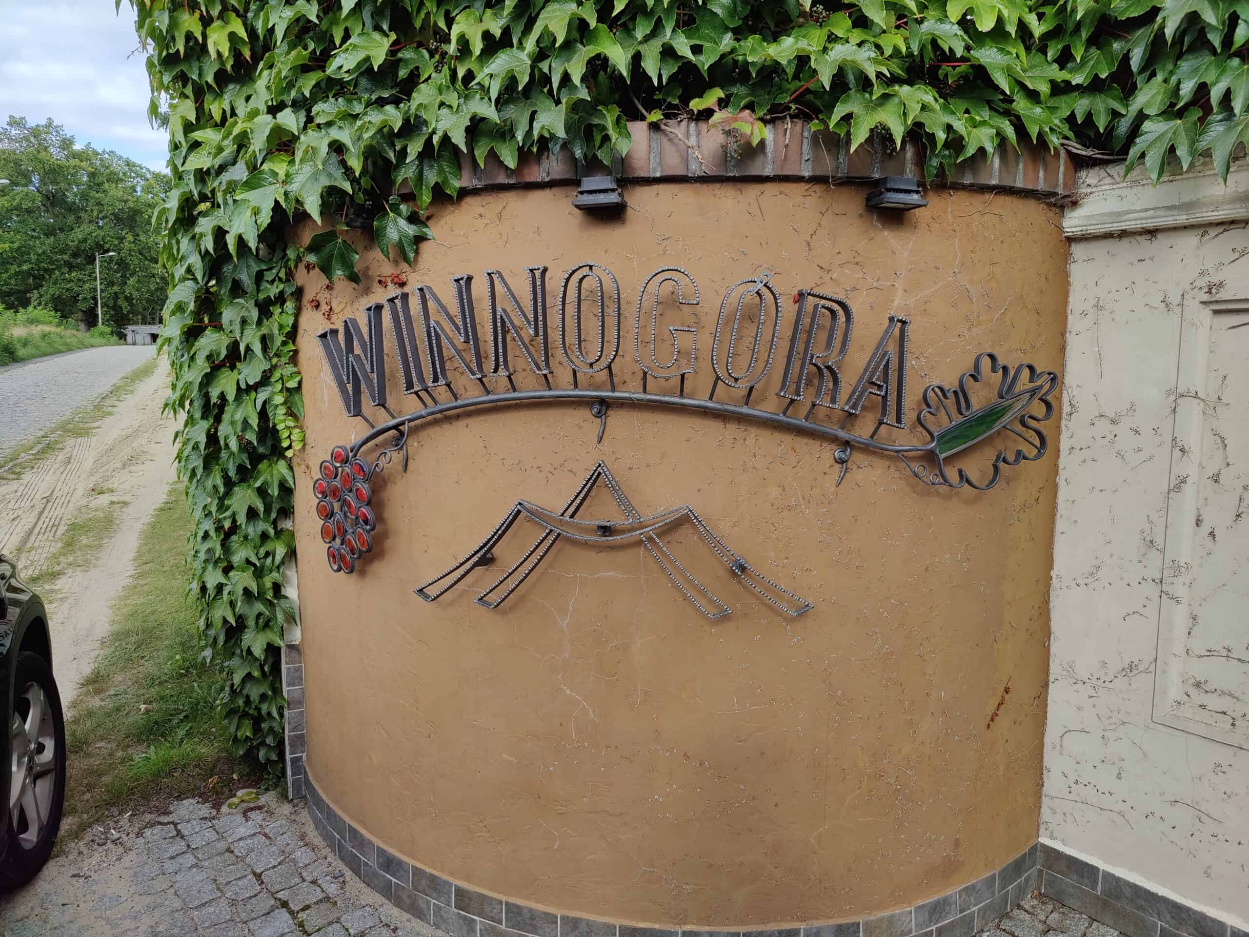 zdjęcie z wizyty studyjnej \"Winnogóra\"