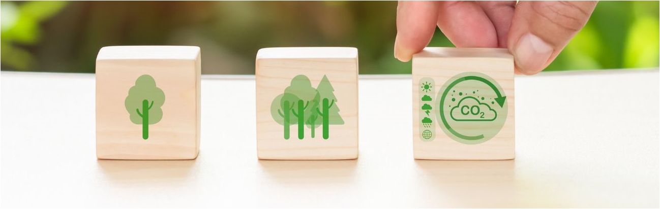 Drewniane klocki na zielonym tle z ikonkami dot. ochrony środowiska 