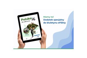Dodatek specjalny do biuletynu eFEkty