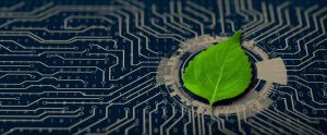 Zdjęcie przedstawiające zielony liść na tle płytki elektronicznej, Canva, licencja Premium